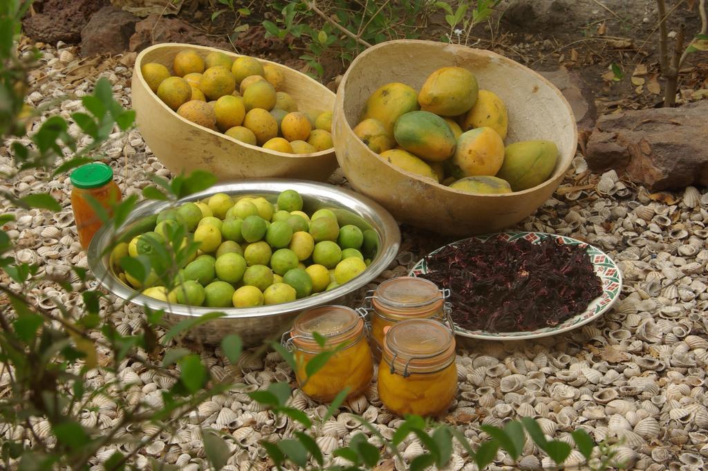 Bed And Breakfast Keur Niaye Toubakouta Ngoại thất bức ảnh